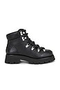 view 1 of 5 Arbor Lace Up Boot in Black