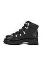 view 5 of 5 Arbor Lace Up Boot in Black