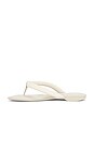 view 5 of 5 SANDALES JENNA TUBULAR FLAT THONG in Vanilla