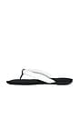 view 5 of 5 Jenna Tubular Flat Thong Sandal in White