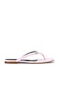 view 1 of 5 Ivy Thong Slide in Prism Pink
