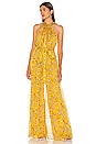 view 1 of 3 Janina Jumpsuit in Sunrise Bouquet