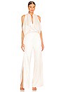 view 1 of 4 Palazzo Jumpsuit in Brilliant