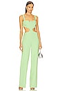 view 1 of 3 Lukas Jumpsuit in Sage