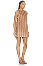 view 4 of 4 Barbale Dress in Bourborn Stripe in Bourbon Stripe