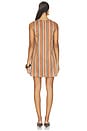 view 5 of 4 Barbale Dress in Bourborn Stripe in Bourbon Stripe