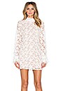 view 1 of 4 Alanis Ruffle Sleeve Lace Dress in White Embroiderey