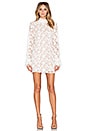 view 4 of 4 Alanis Ruffle Sleeve Lace Dress in White Embroiderey