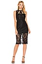 view 1 of 4 Oralie Dress in Black Lace