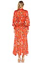 view 4 of 4 Irina Dress in Botanical Red