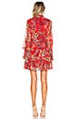 view 3 of 3 Jaila Dress in Eden Floral Red
