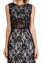 view 5 of 6 Kruse Short Lace Dress in Black Lace