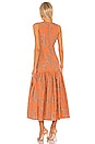 view 3 of 4 Garcelle Dress in Amber