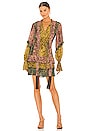 view 1 of 5 Ambar Dress in Amazonia