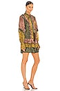 view 3 of 5 Ambar Dress in Amazonia