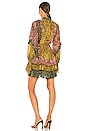 view 4 of 5 Ambar Dress in Amazonia