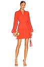 view 1 of 3 Dalla Dress in Burnt Orange