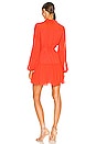 view 3 of 3 Dalla Dress in Burnt Orange