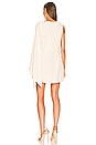 view 4 of 4 Wesley Dress in Creme