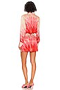 view 3 of 3 Vento Dress in Red Feather