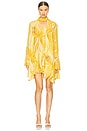 view 1 of 3 Kazan Dress in Amber Lily