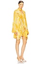 view 2 of 3 Kazan Dress in Amber Lily