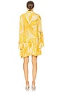 view 3 of 3 Kazan Dress in Amber Lily