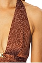 view 4 of 4 Zari Dress in Sienna Dot