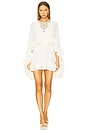 view 1 of 5 Taessa Dress in Ivory