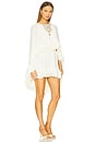 view 2 of 5 Taessa Dress in Ivory
