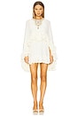 view 4 of 5 Taessa Dress in Ivory