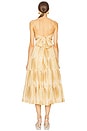 view 3 of 3 Dawne Dress in Sand