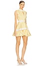 view 2 of 4 Natacha Dress in Yellow Stripes