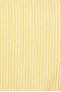 view 4 of 4 Natacha Dress in Yellow Stripes