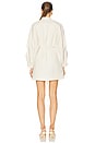 view 3 of 3 Miley Dress in Ivory