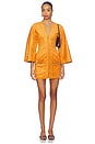 view 1 of 4 Anesa Dress in Sienna