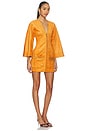 view 2 of 4 Anesa Dress in Sienna