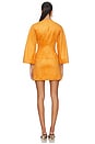 view 3 of 4 Anesa Dress in Sienna