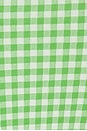 view 4 of 4 Costella Dress in Green Gingham