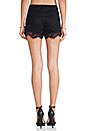 view 3 of 3 SHORT ENCAJE MARTINIQUE in Black Lace