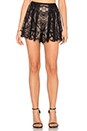 view 1 of 4 Kass Short in Black Lace