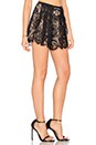 view 2 of 4 Kass Short in Black Lace