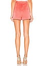 view 3 of 4 Chance Short in Rose Madder
