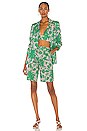 view 5 of 5 Talbot Shorts in Emerald Botanical