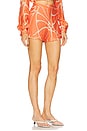 view 2 of 6 Izmir Short in Coral