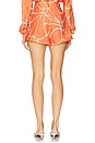 view 4 of 6 Izmir Short in Coral