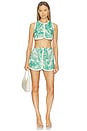 view 5 of 6 Rayen Short in Verde Palm