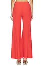 view 4 of 6 Boda Pant in Terracotta