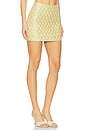 view 2 of 6 Kwon Skirt in Gold
