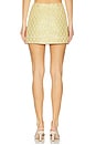 view 4 of 6 Kwon Skirt in Gold